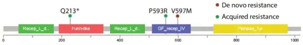 Strategic Planning in ADC Development: How to Innovate in the Crowded HER2 ADC Space?