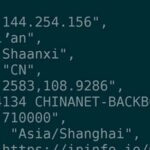 Various Methods to Query Public IP on Linux Systems