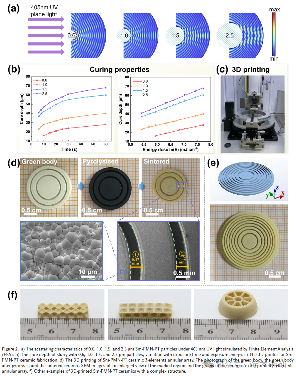 Recent Breakthroughs in 3D Printing: Dual Advances in Structure and Performance