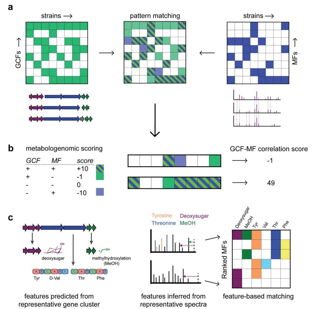 Wageningen University Chem Soc Rev Paper | Integrating Genomics and Metabolomics to Map Specialized Metabolic Diversity