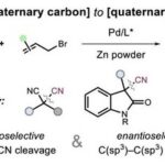 Asymmetric Decyanative Allylation of Tertiary Nitriles for the Construction of Quaternary Stereocenters