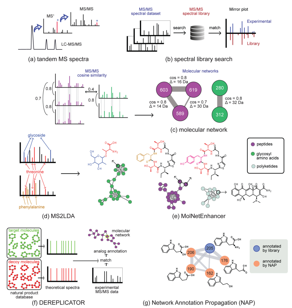 Wageningen University Chem Soc Rev Paper | Integrating Genomics and Metabolomics to Map Specialized Metabolic Diversity