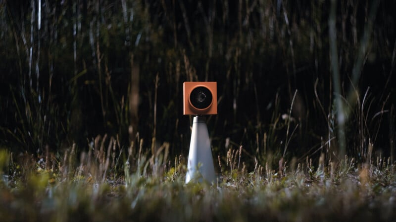 AI Algorithms and Imaging Hardware: New Innovations in Cameras by 2025