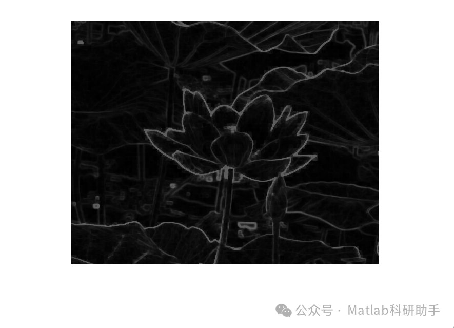 Edge Detection in Image Processing with Matlab Code