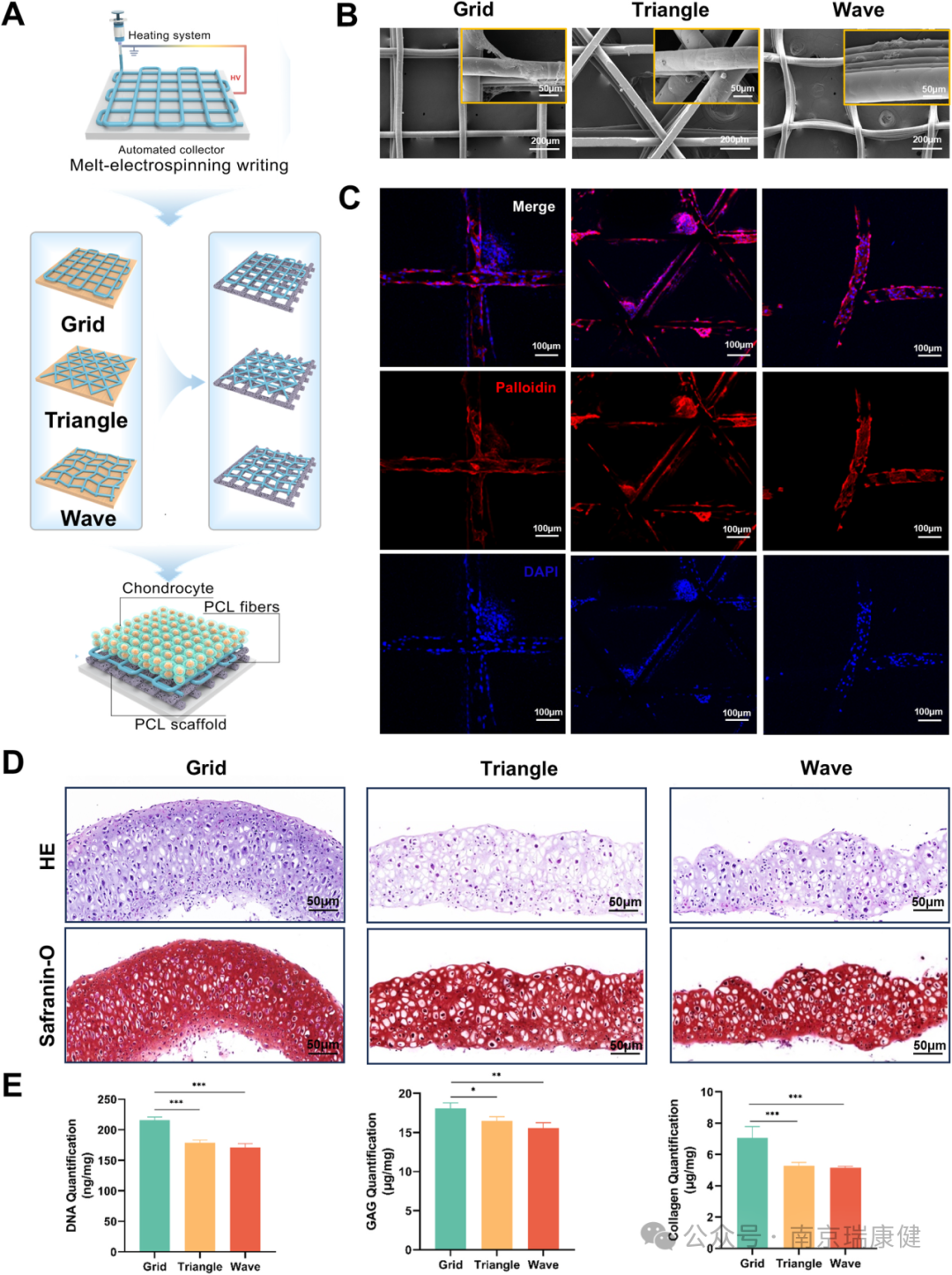 Article Sharing: 3D Printable Perfusable Microchannel Scaffolds