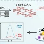 A Microfluidic Chip-Based Electrochemical Biosensor Coupled with CRISPR/Cas12a for Simultaneous Detection of Foodborne Pathogens