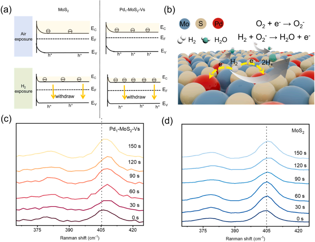 Shanghai University Xu Jiaqiang Team | Breakthrough in Novel Hydrogen Sensors: Synergistic Effect of Pd Single Atoms and Sulfur Vacancies for Efficient Hydrogen Detection