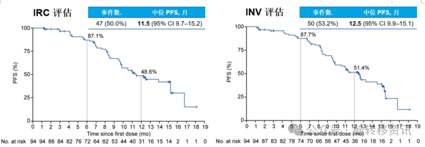 Breakthroughs in HER2-Targeted ADCs for Treating Brain Metastases in Lung Cancer: Clinical Progress from DS-8201 to SHR-A1811