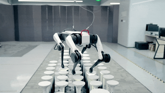 OpenAI's First AI Hardware Set to Launch Within Two Years: What Does Altman Mean by 'Wanting to Lick' the Prototype?
